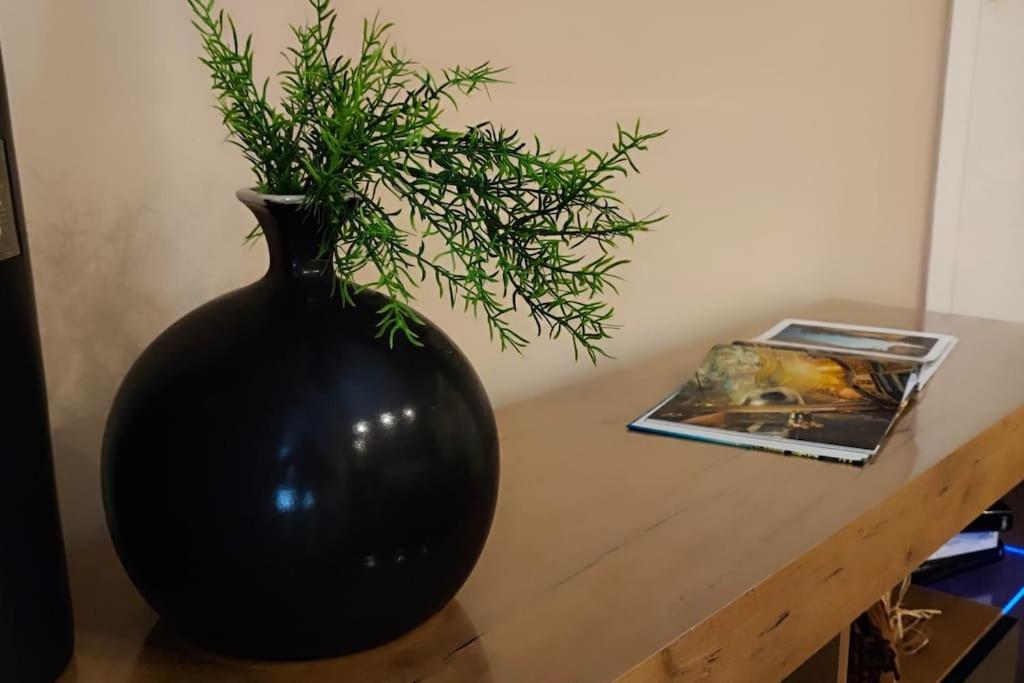 Casa Relax - 500 Mt. Dal Centro Apartment Turin Ngoại thất bức ảnh